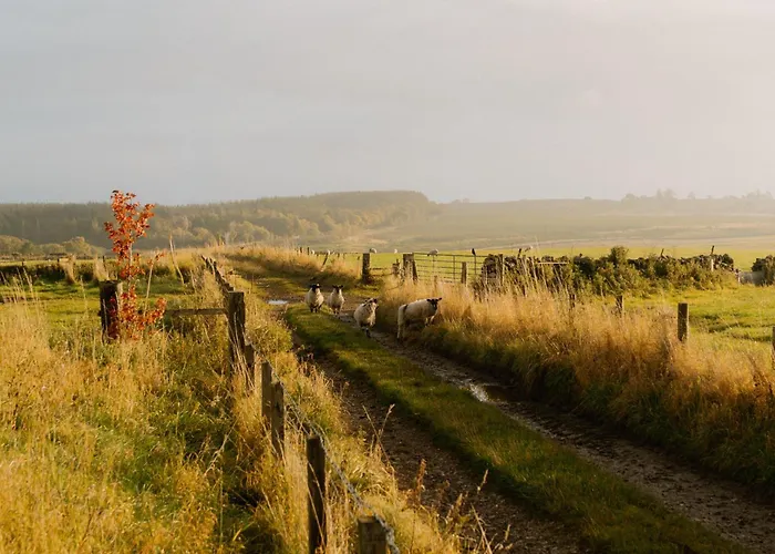 Landal Whitbarrow Holiday park
